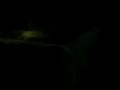 videos de CAR AUDIO SUP3R_MORONG@