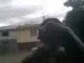 videos de polchi
