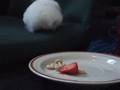 More Adventures of Angel Hamster