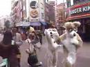 London Fursuiting - Scritch, Fetch And Ricochet