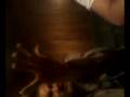 videos de being stoney episode 4