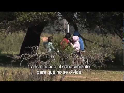 imagen vídeo