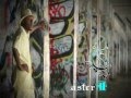 O.G Hitmaster Fish - Popping Trailer