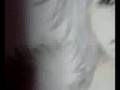 ムーンラジオ６
