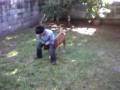videos de FERNANDITO MONTA-PERROS