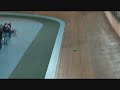 Calshot 2008 The video