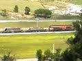 1900 + mercadorias
