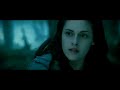 Twilight-Reportage-f