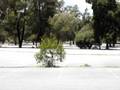 videos de MOV02913.MPG