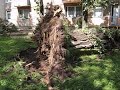 Wiatr ?ama? drzewa jak zapa?ki Wiatr ?ama? drzewa jak zapa?ki