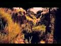 Official Trailer La Libertad by Lisandro Alonso
