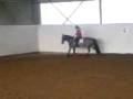 videos de Kiara og Emilie Louise egentrening, sprang
