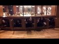 "Call Me Maybe" by WV Fine Dining Servers and ...