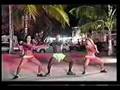 Assistir ao v�deo
