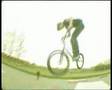 wallie vroegop goes
