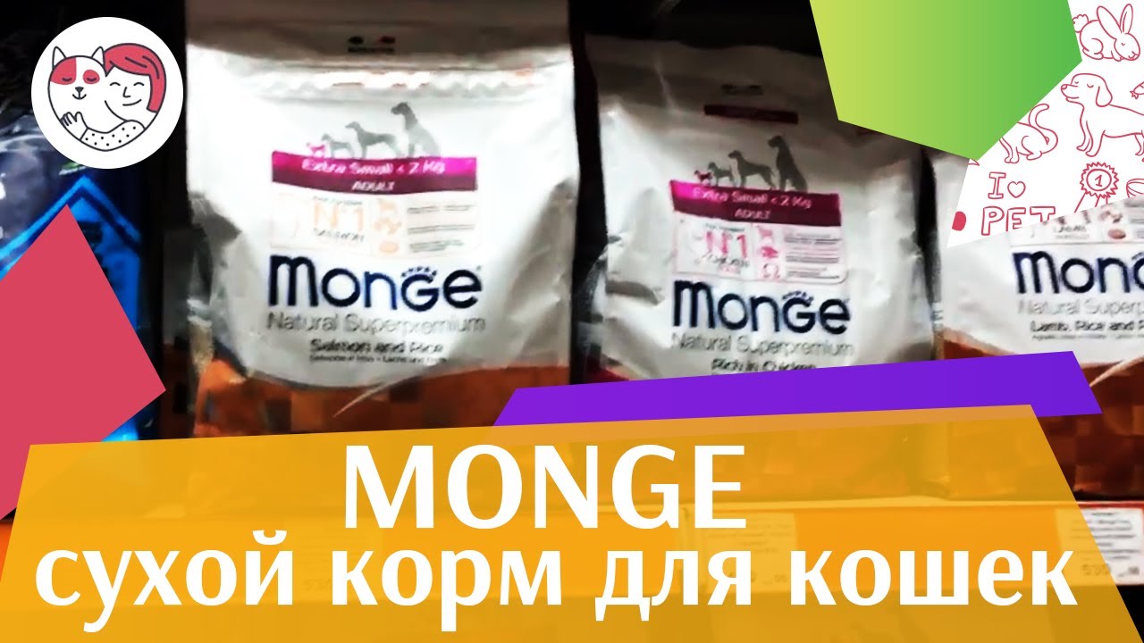 Monge сухой корм для кошек на ilikepet