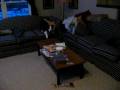 videos de Puppy Zooms