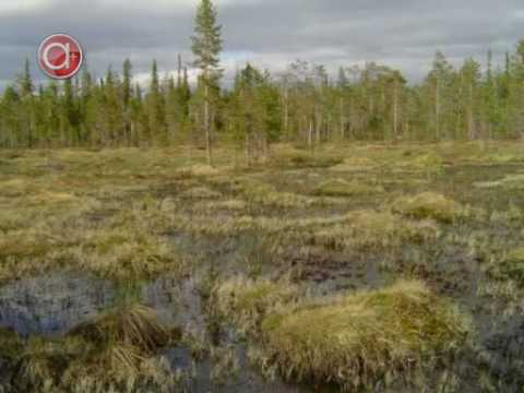 Просмотр видео Просмотр видео