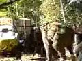 mad elephant mad elephant