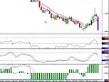 Cowabunga Forex Trading System - Update for August 4, 2008 Cowabunga Forex Trading System - Update for August 4, 2008