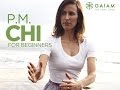 Gaiam Tai Chi - PM Tai Chi for Beginners with CJ McPhee