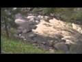 Fort Collins Water Supply At Risk After Hewlett Fire ...