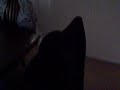 dog barking at keg