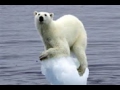 knock knock jokes about global warming knock knock jokes about global warming