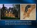 TriForce For Pets - NAPSTV - Tells Mosquitoes To Buzz Off