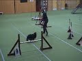Agility Moelv Bodil, søndagen