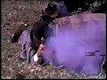 Colt Firearms Tribute Colt Firearms Tribute