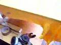 videos de racies cloth by. HEF