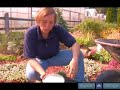 Types of Soils for Perennials Types of Soils for Perennials