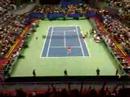 Davis Cup 2008: GER vs． ESP， Setpoint Germany