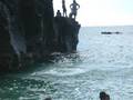 Seafra jumps the clif at Waimea Bay Hawaii..