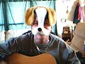 YeeHawww's Country Comedy Singing,(Cover) Rose In Paradise