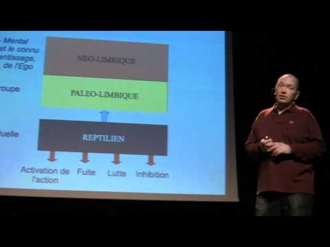 Image de prévisualisation YouTube