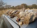 Hunting Pakistan Hunting Pakistan