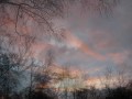 Silent upon a heath in Hampstead