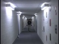 Brain Freeway