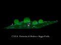 Neurons in 3D