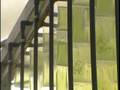 High Density Vertical BioReactor