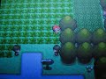 Shiny Illumise pokeradar chain 12 pokemon diamond chaining Shiny Illumise pokeradar chain 12 pokemon diamond chaining