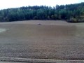 Az.Agricola Luciani Loris- Semina Grano 2009 con 80-65 FIATAGRI