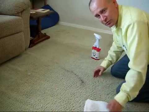 how to remove red wine from carpet