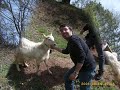 www-fordturkiye-com-
