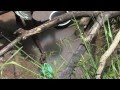 videos de Brian's Water Footage