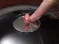 pig optical illusion