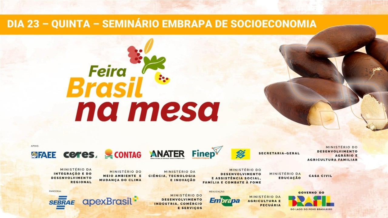 Seminário Embrapa de Socioeconomia