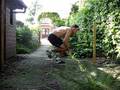 gianni romme one legged jump